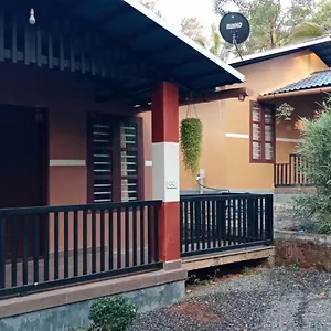 https://cocos-villa-wayanad.kerala-hotels.net